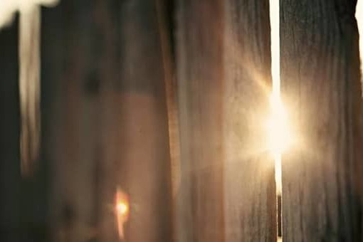 How the Light Gets In.