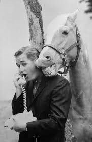 The Horse's Mouth.