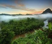The Rain Forest and the Mountain.