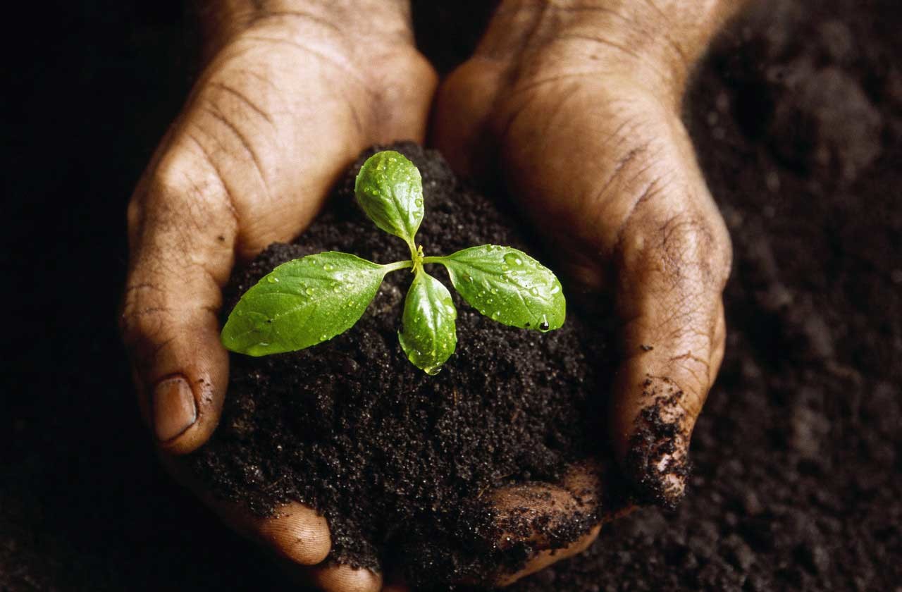 Green Selling.