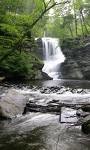 The Downstream Effect