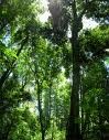 Web Sustainability: The Data Compact